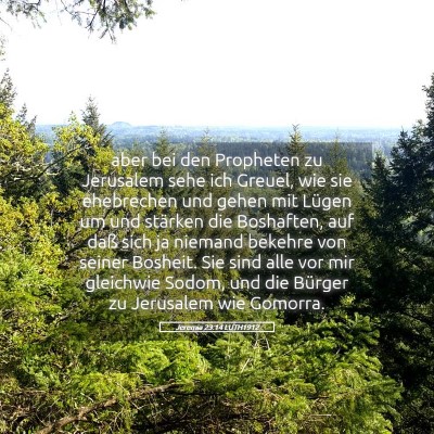 Picture 05 - Jeremia 23:14 LUTH1912 - aber bei den Propheten zu Jerusalem sehe ich - Bible Verse Picture