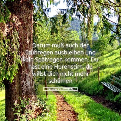 Picture 05 - Jeremia 3:3 LUTH1912 - Darum muß auch der Frühregen ausbleiben und - Bible Verse Picture