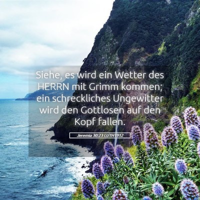 Picture 05 - Jeremia 30:23 LUTH1912 - Siehe, es wird ein Wetter des HERRN mit Grimm - Bible Verse Picture
