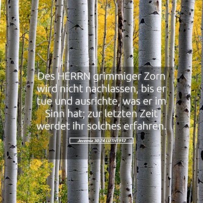 Picture 05 - Jeremia 30:24 LUTH1912 - Des HERRN grimmiger Zorn wird nicht nachlassen, - Bible Verse Picture