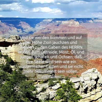 Picture 05 - Jeremia 31:12 LUTH1912 - Und sie werden kommen und auf der Höhe Zion - Bible Verse Picture