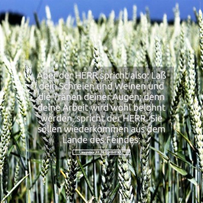 Picture 05 - Jeremia 31:16 LUTH1912 - Aber der HERR spricht also: Laß dein Schreien - Bible Verse Picture