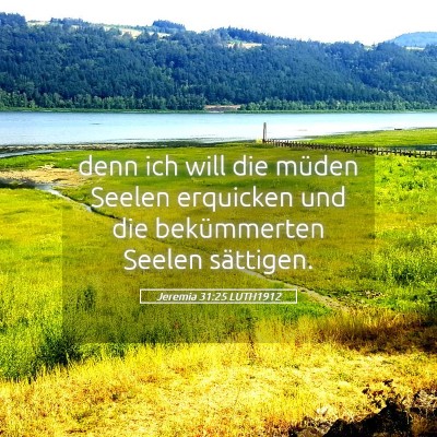 Picture 05 - Jeremia 31:25 LUTH1912 - denn ich will die müden Seelen erquicken und die - Bible Verse Picture