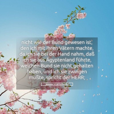 Picture 05 - Jeremia 31:32 LUTH1912 - nicht wie der Bund gewesen ist, den ich mit ihren - Bible Verse Picture
