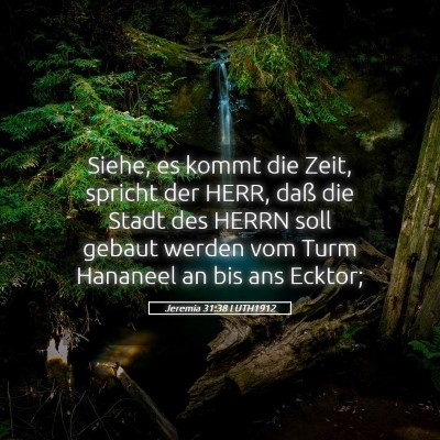 Picture 05 - Jeremia 31:38 LUTH1912 - Siehe, es kommt die Zeit, spricht der HERR, daß - Bible Verse Picture