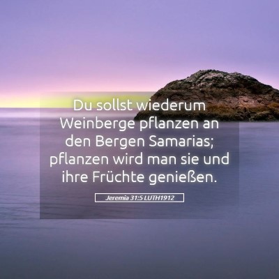 Picture 05 - Jeremia 31:5 LUTH1912 - Du sollst wiederum Weinberge pflanzen an den - Bible Verse Picture