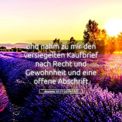 Picture 05 - Jeremia 32:11 LUTH1912 - und nahm zu mir den versiegelten Kaufbrief nach - Bible Verse Picture