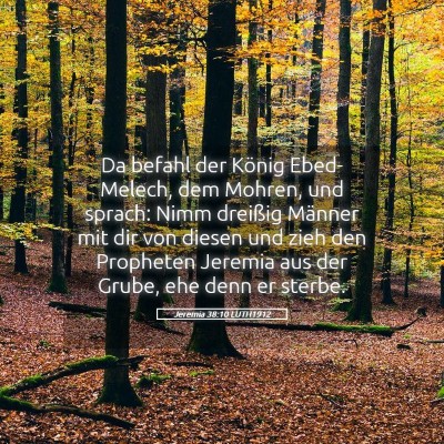 Picture 05 - Jeremia 38:10 LUTH1912 - Da befahl der König Ebed-Melech, dem Mohren, und - Bible Verse Picture