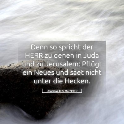 Picture 05 - Jeremia 4:3 LUTH1912 - Denn so spricht der HERR zu denen in Juda und zu - Bible Verse Picture