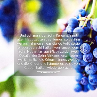 Picture 05 - Jeremia 41:16 LUTH1912 - Und Johanan, der Sohn Kareahs, samt allen - Bible Verse Picture