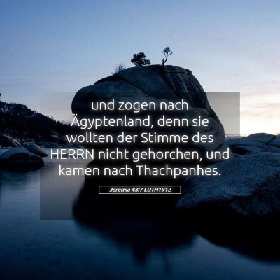 Picture 05 - Jeremia 43:7 LUTH1912 - und zogen nach Ägyptenland, denn sie wollten der - Bible Verse Picture