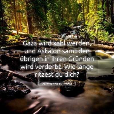 Picture 05 - Jeremia 47:5 LUTH1912 - Gaza wird kahl werden, und Askalon samt den - Bible Verse Picture