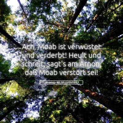 Picture 05 - Jeremia 48:20 LUTH1912 - Ach, Moab ist verwüstet und verderbt! Heult und - Bible Verse Picture