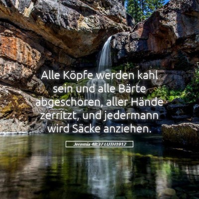 Picture 05 - Jeremia 48:37 LUTH1912 - Alle Köpfe werden kahl sein und alle Bärte - Bible Verse Picture