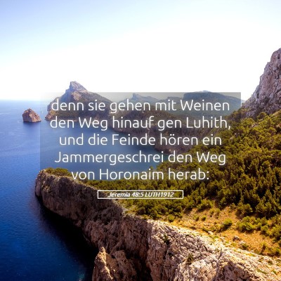 Picture 05 - Jeremia 48:5 LUTH1912 - denn sie gehen mit Weinen den Weg hinauf gen - Bible Verse Picture