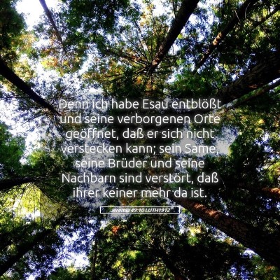Picture 05 - Jeremia 49:10 LUTH1912 - Denn ich habe Esau entblößt und seine - Bible Verse Picture