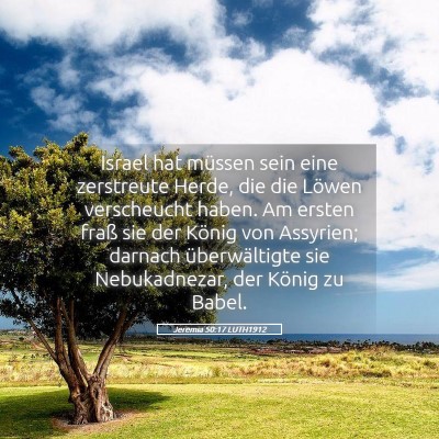 Picture 05 - Jeremia 50:17 LUTH1912 - Israel hat müssen sein eine zerstreute Herde, - Bible Verse Picture