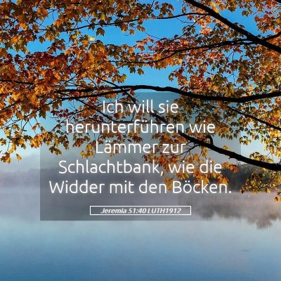 Picture 05 - Jeremia 51:40 LUTH1912 - Ich will sie herunterführen wie Lämmer zur - Bible Verse Picture