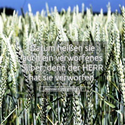 Picture 05 - Jeremia 6:30 LUTH1912 - Darum heißen sie auch ein verworfenes Silber; - Bible Verse Picture