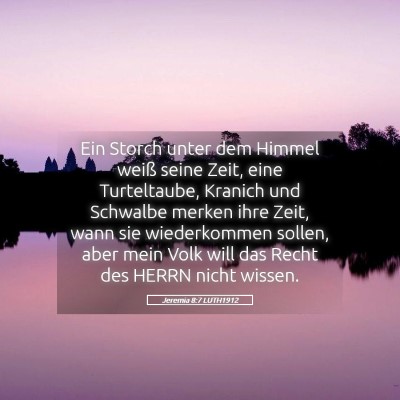 Picture 05 - Jeremia 8:7 LUTH1912 - Ein Storch unter dem Himmel weiß seine Zeit, - Bible Verse Picture