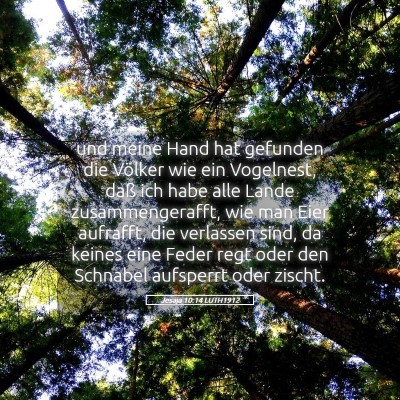 Picture 05 - Jesaja 10:14 LUTH1912 - und meine Hand hat gefunden die Völker wie ein - Bible Verse Picture