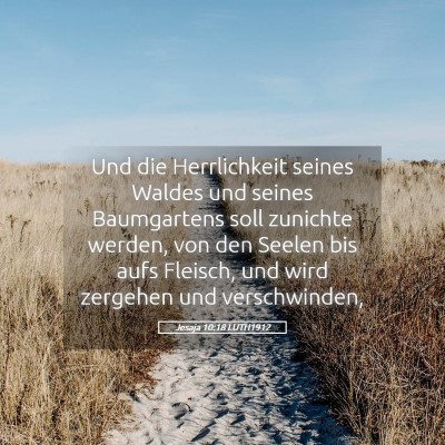 Picture 05 - Jesaja 10:18 LUTH1912 - Und die Herrlichkeit seines Waldes und seines - Bible Verse Picture