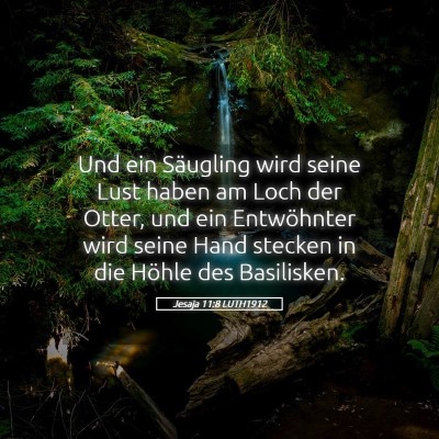 Picture 05 - Jesaja 11:8 LUTH1912 - Und ein Säugling wird seine Lust haben am Loch - Bible Verse Picture