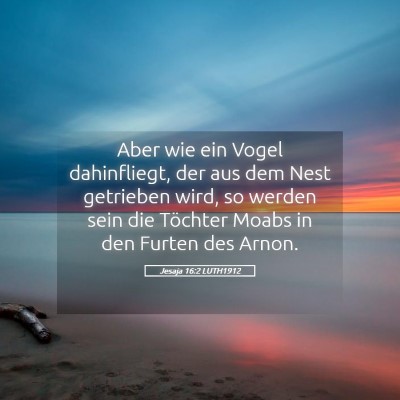 Picture 05 - Jesaja 16:2 LUTH1912 - Aber wie ein Vogel dahinfliegt, der aus dem Nest - Bible Verse Picture