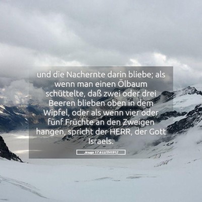 Picture 05 - Jesaja 17:6 LUTH1912 - und die Nachernte darin bliebe; als wenn man - Bible Verse Picture