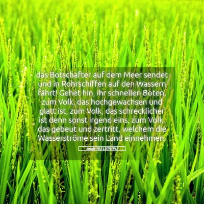 Picture 05 - Jesaja 18:2 LUTH1912 - das Botschafter auf dem Meer sendet und in - Bible Verse Picture