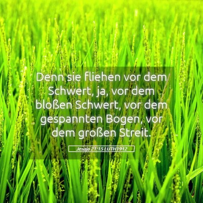 Picture 05 - Jesaja 21:15 LUTH1912 - Denn sie fliehen vor dem Schwert, ja, vor dem - Bible Verse Picture