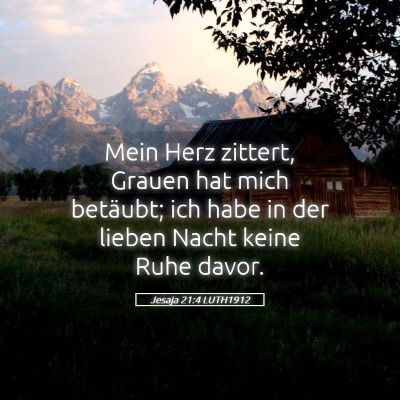Picture 05 - Jesaja 21:4 LUTH1912 - Mein Herz zittert, Grauen hat mich betäubt; ich - Bible Verse Picture