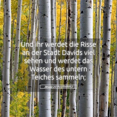Picture 05 - Jesaja 22:9 LUTH1912 - Und ihr werdet die Risse an der Stadt Davids viel - Bible Verse Picture