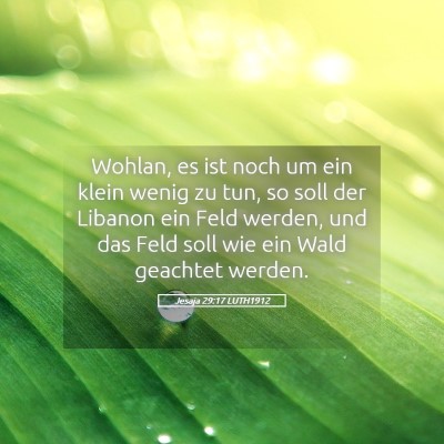 Picture 05 - Jesaja 29:17 LUTH1912 - Wohlan, es ist noch um ein klein wenig zu tun, so - Bible Verse Picture
