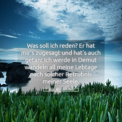 Picture 05 - Jesaja 38:15 LUTH1912 - Was soll ich reden? Er hat mir's zugesagt und - Bible Verse Picture