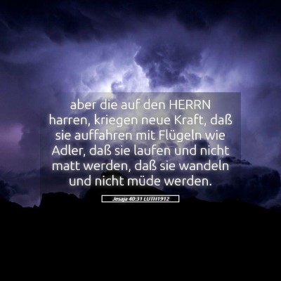Picture 05 - Jesaja 40:31 LUTH1912 - aber die auf den HERRN harren, kriegen neue - Bible Verse Picture