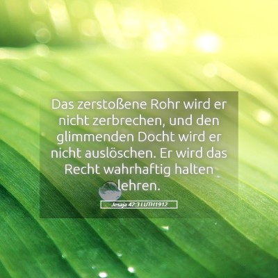 Picture 05 - Jesaja 42:3 LUTH1912 - Das zerstoßene Rohr wird er nicht zerbrechen, - Bible Verse Picture