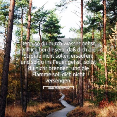 Picture 05 - Jesaja 43:2 LUTH1912 - Denn so du durch Wasser gehst, will ich bei dir - Bible Verse Picture