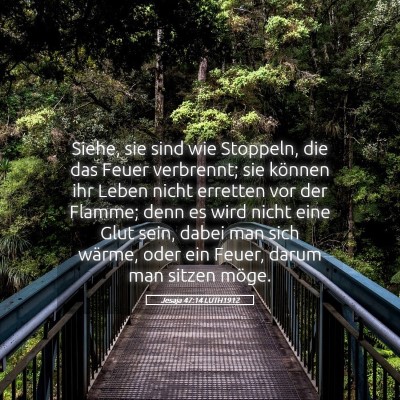 Picture 05 - Jesaja 47:14 LUTH1912 - Siehe, sie sind wie Stoppeln, die das Feuer - Bible Verse Picture