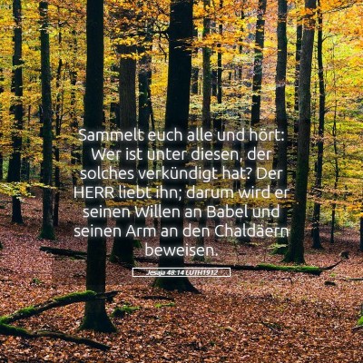 Picture 05 - Jesaja 48:14 LUTH1912 - Sammelt euch alle und hört: Wer ist unter - Bible Verse Picture