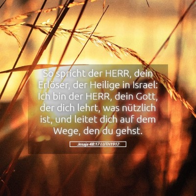 Picture 05 - Jesaja 48:17 LUTH1912 - So spricht der HERR, dein Erlöser, der Heilige - Bible Verse Picture
