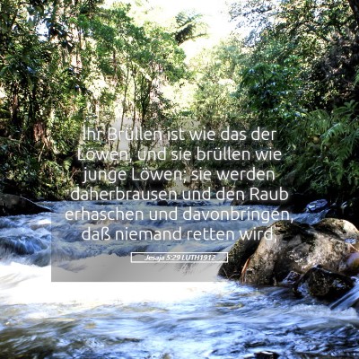 Picture 05 - Jesaja 5:29 LUTH1912 - Ihr Brüllen ist wie das der Löwen, und sie - Bible Verse Picture