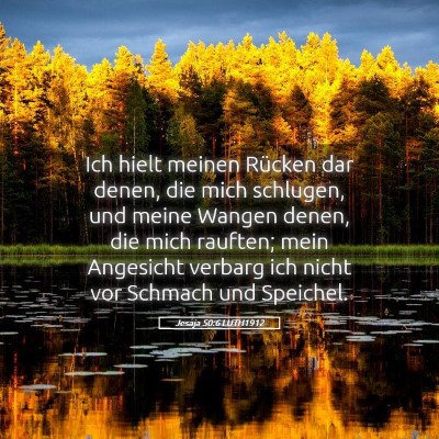 Picture 05 - Jesaja 50:6 LUTH1912 - Ich hielt meinen Rücken dar denen, die mich - Bible Verse Picture