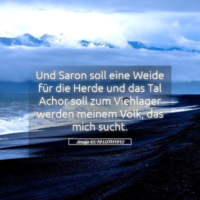 Picture 05 - Jesaja 65:10 LUTH1912 - Und Saron soll eine Weide für die Herde und das - Bible Verse Picture