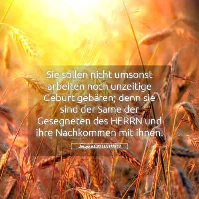 Picture 05 - Jesaja 65:23 LUTH1912 - Sie sollen nicht umsonst arbeiten noch unzeitige - Bible Verse Picture