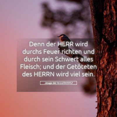 Picture 05 - Jesaja 66:16 LUTH1912 - Denn der HERR wird durchs Feuer richten und durch - Bible Verse Picture