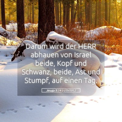 Picture 05 - Jesaja 9:14 LUTH1912 - Darum wird der HERR abhauen von Israel beide, - Bible Verse Picture