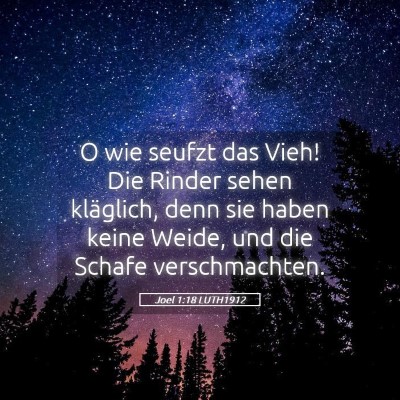 Picture 05 - Joel 1:18 LUTH1912 - O wie seufzt das Vieh! Die Rinder sehen - Bible Verse Picture