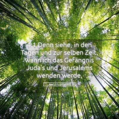Picture 05 - Joel 3:1 LUTH1912 - 4:1 Denn siehe, in den Tagen und zur selben Zeit, - Bible Verse Picture