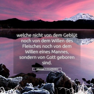 Picture 05 - Johannes 1:13 LUTH1912 - welche nicht von dem Geblüt noch von dem Willen - Bible Verse Picture